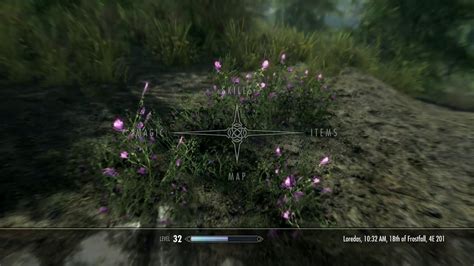 purple mountain flower skyrim|More.